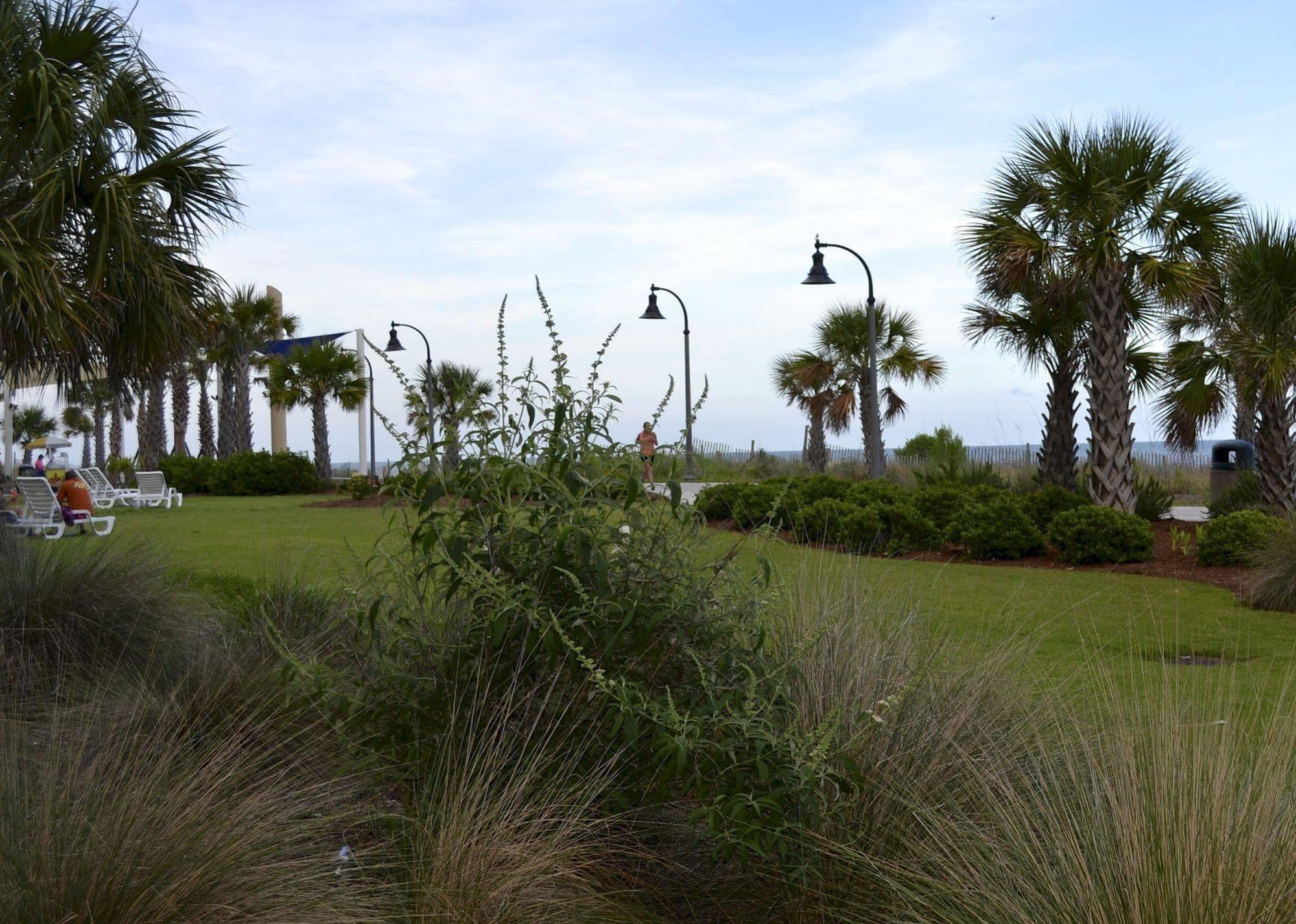 Sea Gypsy Myrtle Beach Exterior foto