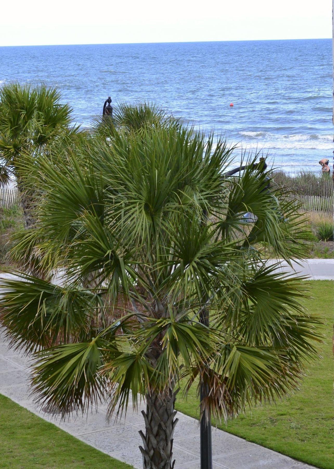 Sea Gypsy Myrtle Beach Exterior foto